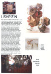 Ushpizin Balls from Susie Wolfson